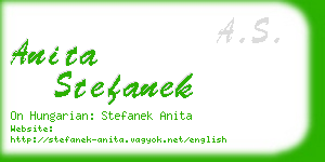 anita stefanek business card